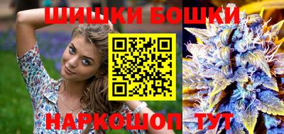индика Дмитров