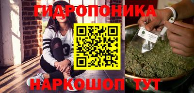 индика Дмитров