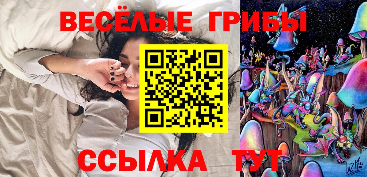 что такое наркотик  Вход с VPN  Вязьма  Псилоцибиновые грибы прущие грибы 