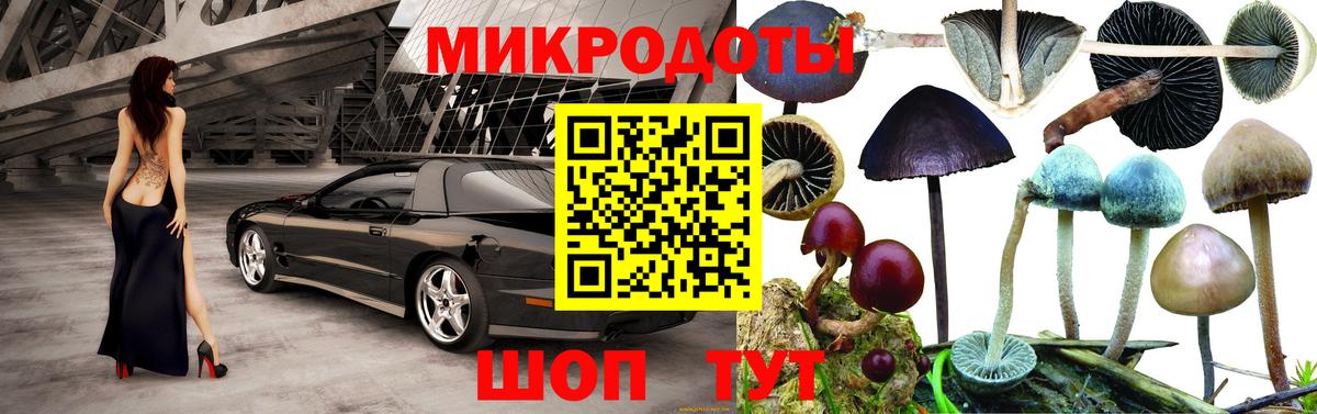 Псилоцибиновые грибы Cubensis Вязьма
